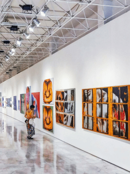 Explore the Art Gallery