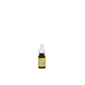 Light Brown Marble Paint 30 ML